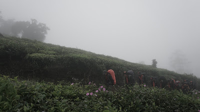 DSC08903.JPG