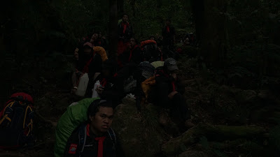 DSC03520.JPG