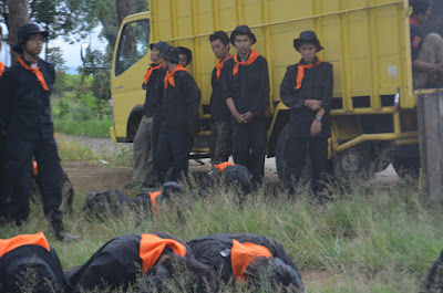 DSC_1393.JPG