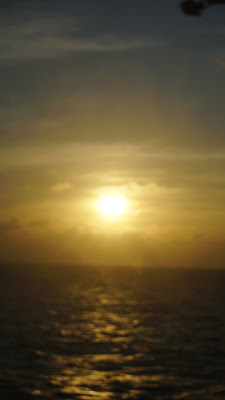 DSC02823.JPG