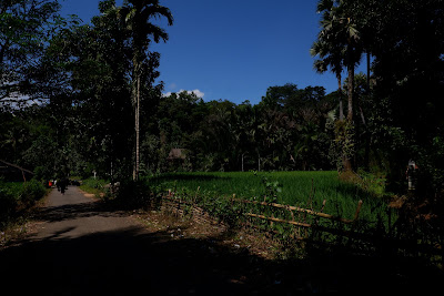 DSCF2111.JPG