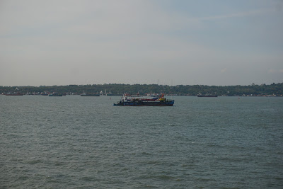 DSC03547.JPG