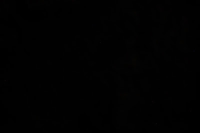 _MG_8753.JPG