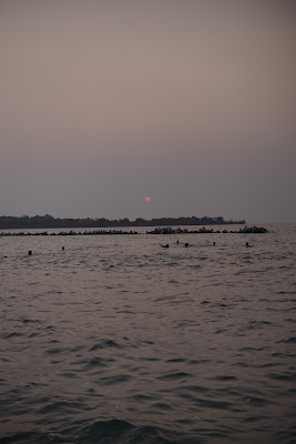 DSC06626.JPG
