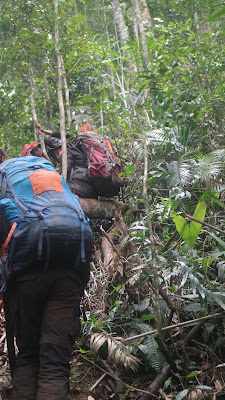 IMG_2767.JPG