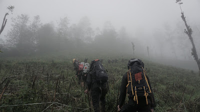 DSC08896.JPG