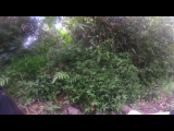 GOPR9712.THM