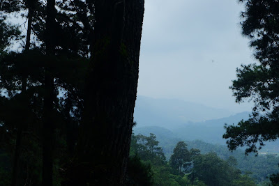 DSCF6610.JPG