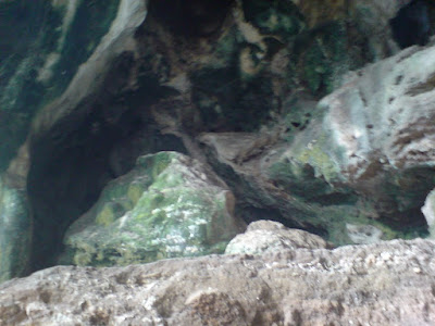 DSC00104.jpg