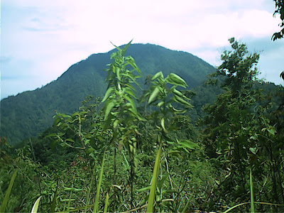 Survey PenDas KF Gunung Hutan - 033.jpg