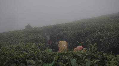 DSC08912.JPG