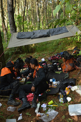 DSC_0241.JPG