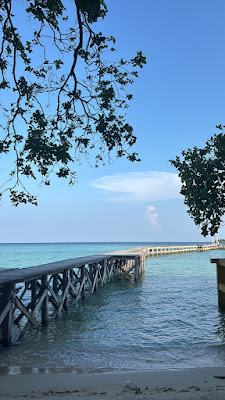 A690796E-B886-4913-814D-D520B6887702.JPG