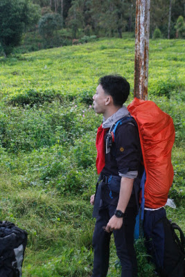 _MG_2564.JPG