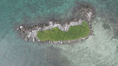 DJI_20250512090500_0088_D.MP4