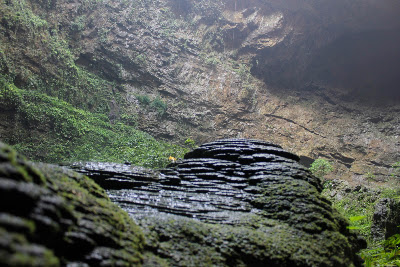 _MG_9390.JPG
