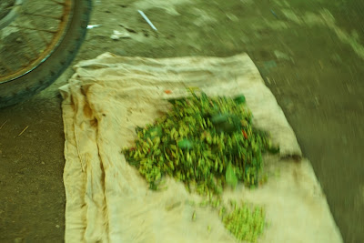 DSC03739.JPG