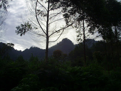 Survey PDA XIV Gunung Hutan dan SAR - 110.JPG