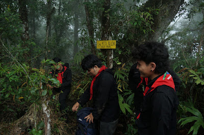 LDK00616.JPG