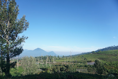 DSC02041.JPG
