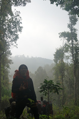 LDK00673.JPG