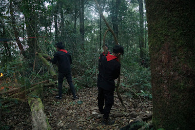 LDK00493.JPG