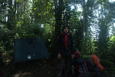 DSCF6578.RAF
