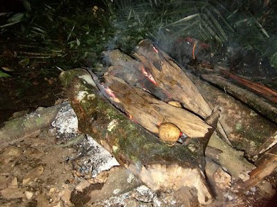 CIMG2939.JPG