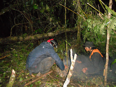 DSCN1520.JPG