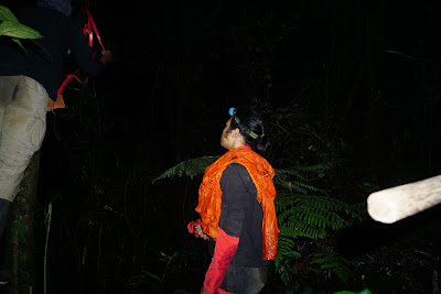 DSC07998.JPG