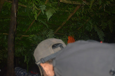 DSC_0216.JPG