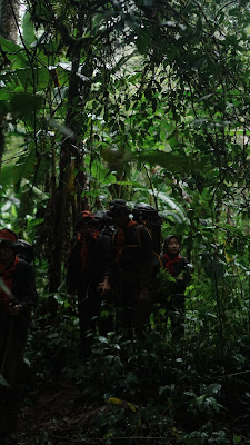 DSC00733.JPG