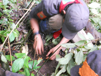 DSCN1686.JPG
