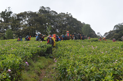 DSC_0320.JPG