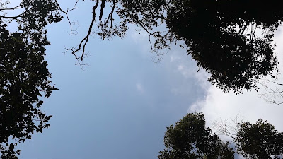 MVI_4726.MP4