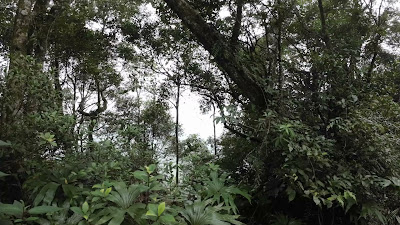 DJI_0093_001.MP4