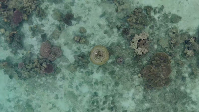 DJI_20250512072543_0073_D.mp4