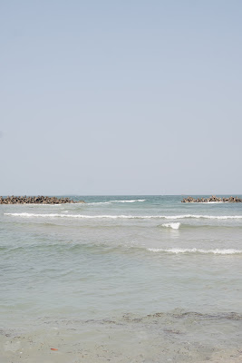 DSC06848.JPG