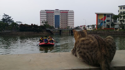 20160914_180959.jpg