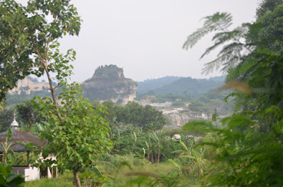 DSC_4768.JPG