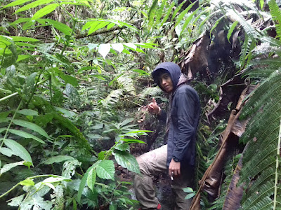 20151031_134603.jpg