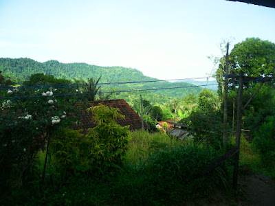 SAM_0703.JPG