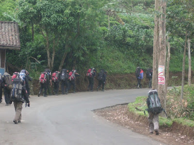 CIMG7236.JPG