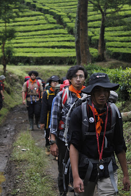 _MG_3010.JPG