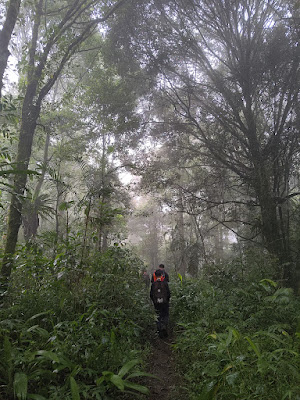 RA_20251214_154525_lmc_8.4.jpg