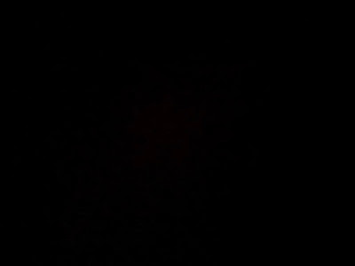 IMG_20250512_115831.HEIC