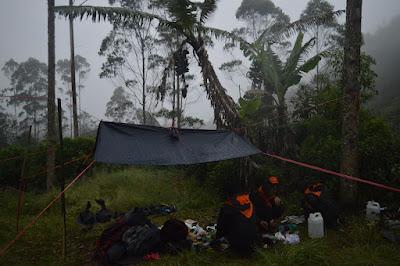 DSC_0201.JPG
