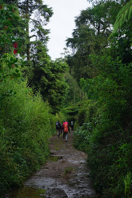 DSC07805.JPG