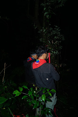 DSC07981.JPG