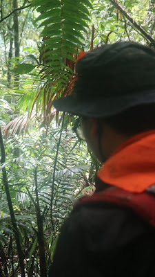 IMG_2610.JPG